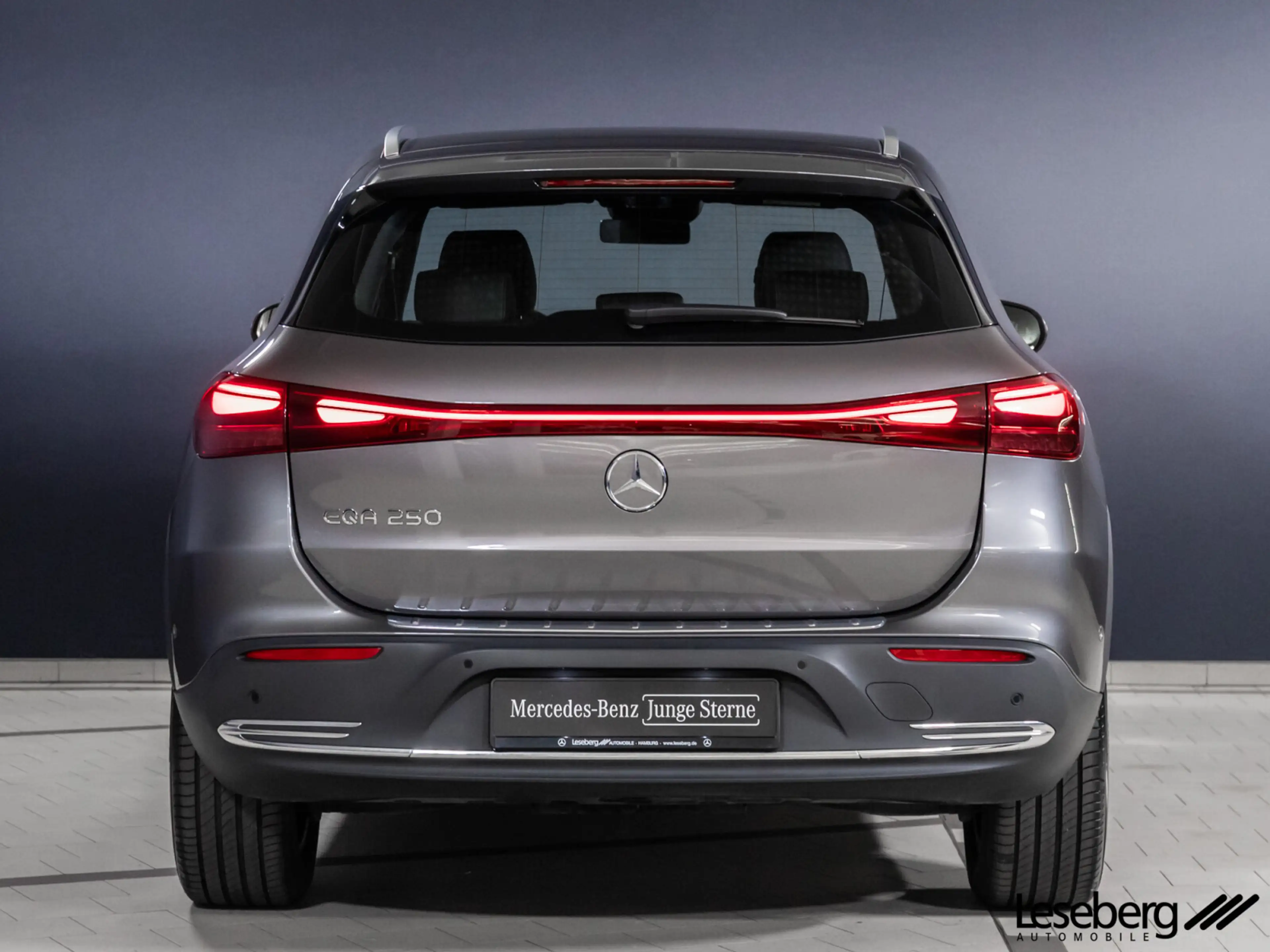 Mercedes-Benz EQA 250 EQA 250 Progress. Adv. LED/Kamera/el.Heckklappe/ — photo 6