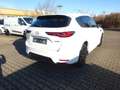 Mazda CX-60 Hybrid 327PS Aut. AWD Homura Pano Weiß - thumbnail 5