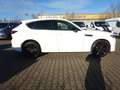 Mazda CX-60 Hybrid 327PS Aut. AWD Homura Pano Weiß - thumbnail 6