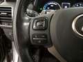 Lexus NX 300 300h Business 2WD Gris - thumbnail 19