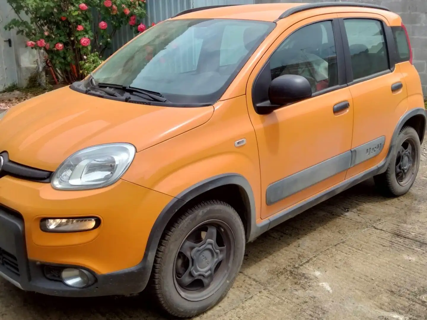 Fiat Panda 09 4 x 4 twinair Arancione - 1