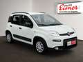 Fiat Panda 1.0 City Life Facelift Weiß - thumbnail 15