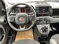 Fiat Panda 1.0 City Life Facelift Weiß - thumbnail 9