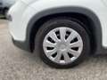 Fiat Panda 1.0 City Life Facelift Weiß - thumbnail 5