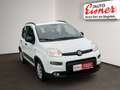 Fiat Panda 1.0 City Life Facelift Weiß - thumbnail 16