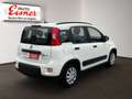 Fiat Panda 1.0 City Life Facelift Weiß - thumbnail 13