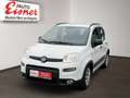 Fiat Panda 1.0 City Life Facelift Weiß - thumbnail 2