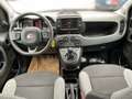 Fiat Panda 1.0 City Life Facelift Weiß - thumbnail 10