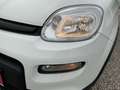 Fiat Panda 1.0 City Life Facelift Weiß - thumbnail 4