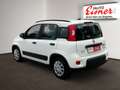 Fiat Panda 1.0 City Life Facelift Weiß - thumbnail 11