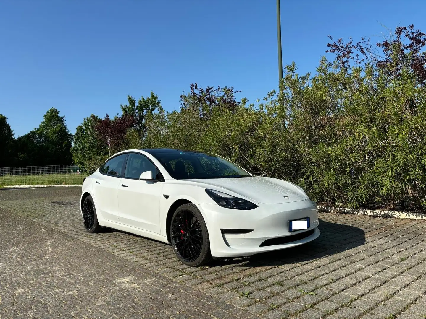 Tesla Model 3 Model 3 Performance Dual Motor awd Bianco - 2
