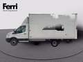 Ford Transit V363 350 tr.post. 2.0 tdci 170cv trend L4 r.gem. E Bianco - thumbnail 3