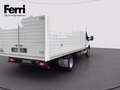 Ford Transit V363 350 tr.post. 2.0 tdci 170cv trend L4 r.gem. E Bianco - thumbnail 4