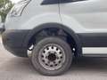 Ford Transit V363 350 tr.post. 2.0 tdci 170cv trend L4 r.gem. E Bianco - thumbnail 11