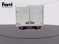 Ford Transit V363 350 tr.post. 2.0 tdci 170cv trend L4 r.gem. E Bianco - thumbnail 5