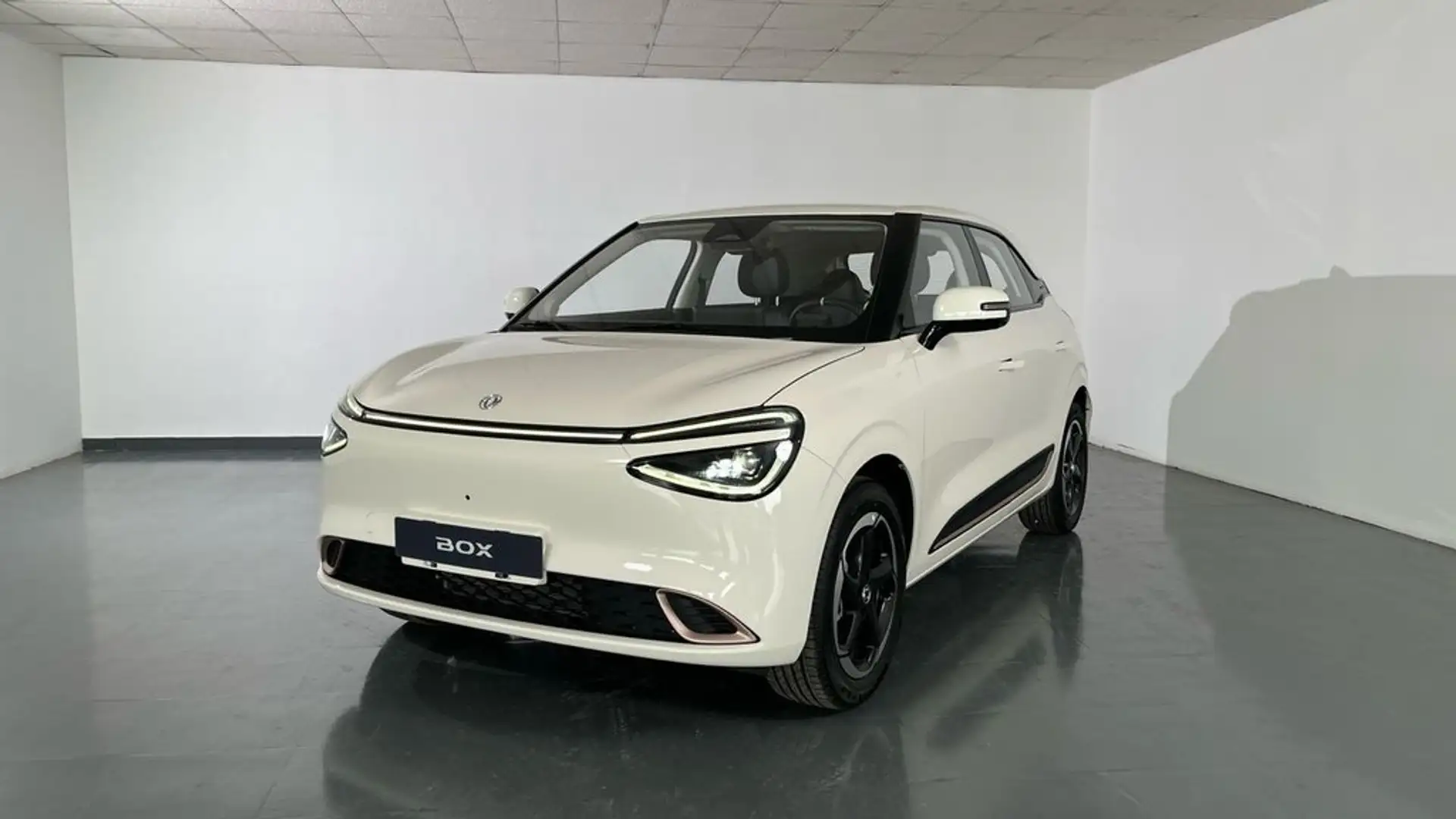 Dongfeng Box Plus 70kW 42.3kW Bianco - 2