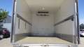 Iveco Daily 72C170 (Stock ID 65619) Blanc - thumbnail 12
