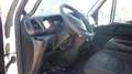 Iveco Daily 72C170 (Stock ID 65619) Blanc - thumbnail 16
