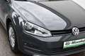 Volkswagen Golf Variant Golf VII 1.6 TDI Variant / Service+Reifen+Bremse+ Grau - thumbnail 10