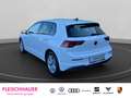 Volkswagen Golf VIII 1.5 TSI Life  CarPlay+APS-Plus+LED+ACC+DAB Weiß - thumbnail 4