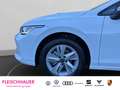 Volkswagen Golf VIII 1.5 TSI Life  CarPlay+APS-Plus+LED+ACC+DAB Weiß - thumbnail 15