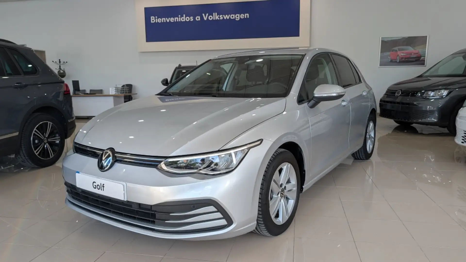 Volkswagen Golf 2.0TDI 85kW Plateado - 1