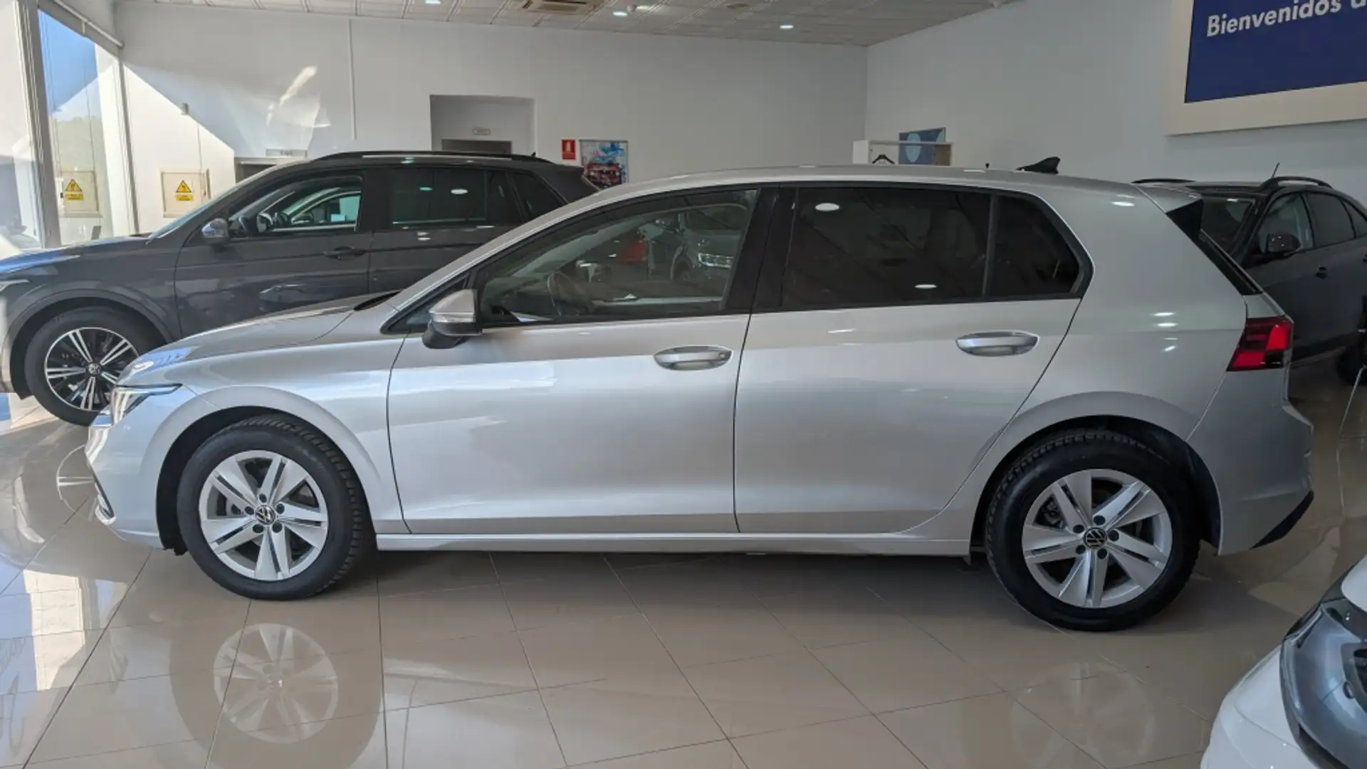 Volkswagen Golf 2.0TDI 85kW Plateado - 2