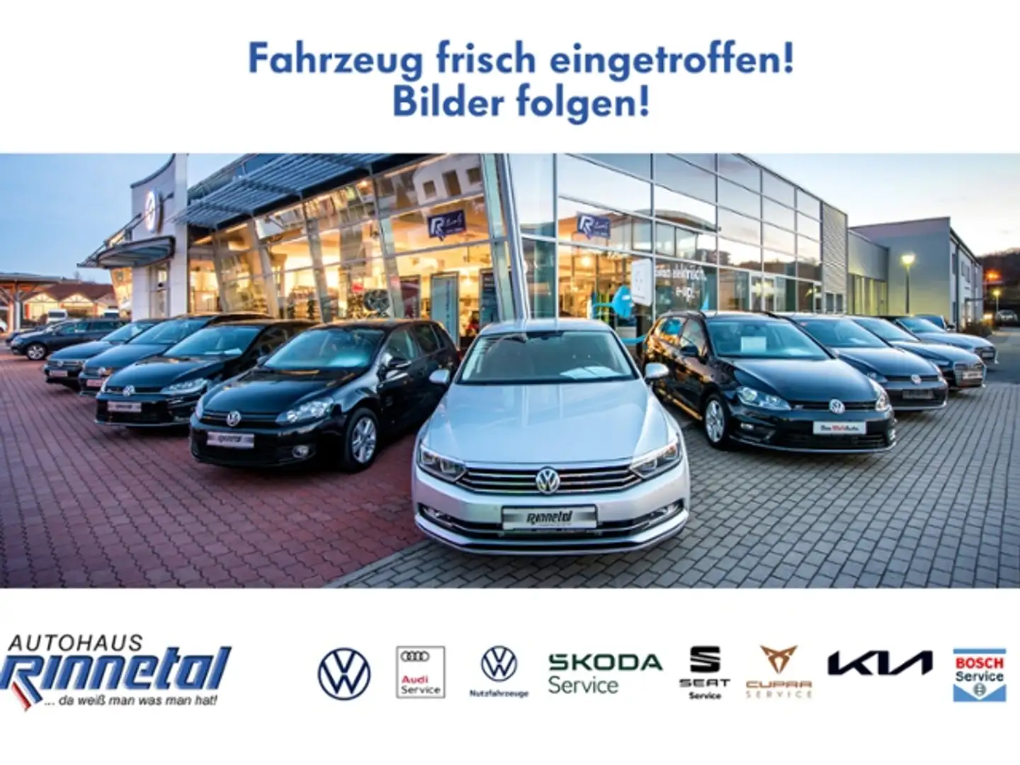 Volkswagen Tiguan 2.0 TDI DSG 4Motion R-Line Black Style AHK+KAMERA Weiß - 1