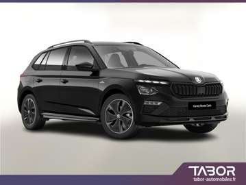 116 DSG Monte Pano Matrix ACC Cam