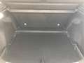 MG ZS HEV Luxury/25 Grün - thumbnail 10