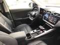 MG ZS HEV Luxury/25 Grün - thumbnail 6