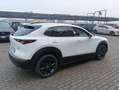 Mazda CX-30 CX-30 2.5 m-hybrid Advantage 2wd 140cv 6mt Blanc - thumbnail 20