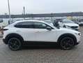 Mazda CX-30 CX-30 2.5 m-hybrid Advantage 2wd 140cv 6mt Blanc - thumbnail 8