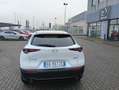 Mazda CX-30 CX-30 2.5 m-hybrid Advantage 2wd 140cv 6mt Blanc - thumbnail 16