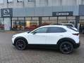 Mazda CX-30 CX-30 2.5 m-hybrid Advantage 2wd 140cv 6mt Blanc - thumbnail 21