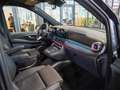 Mercedes-Benz V 300 V 300 d 4M L AMG Panoramadach Sitzbelüftung AHK Grau - thumbnail 12