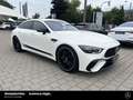 Mercedes-Benz AMG GT AMG GT 63 S 4M+ Night 21" Keramik NAPPA NP251 Weiß - thumbnail 7