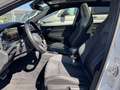Volkswagen Golf Variant 1.5 eTSI R-Line PANO | H/K | CAMERA Blanc - thumbnail 10