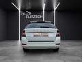 Skoda Fabia Combi TSI Clever Best-off Navi Pano ACC RFK SH Weiß - thumbnail 6