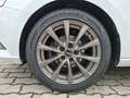 Skoda Fabia Combi TSI Clever Best-off Navi Pano ACC RFK SH Weiß - thumbnail 11