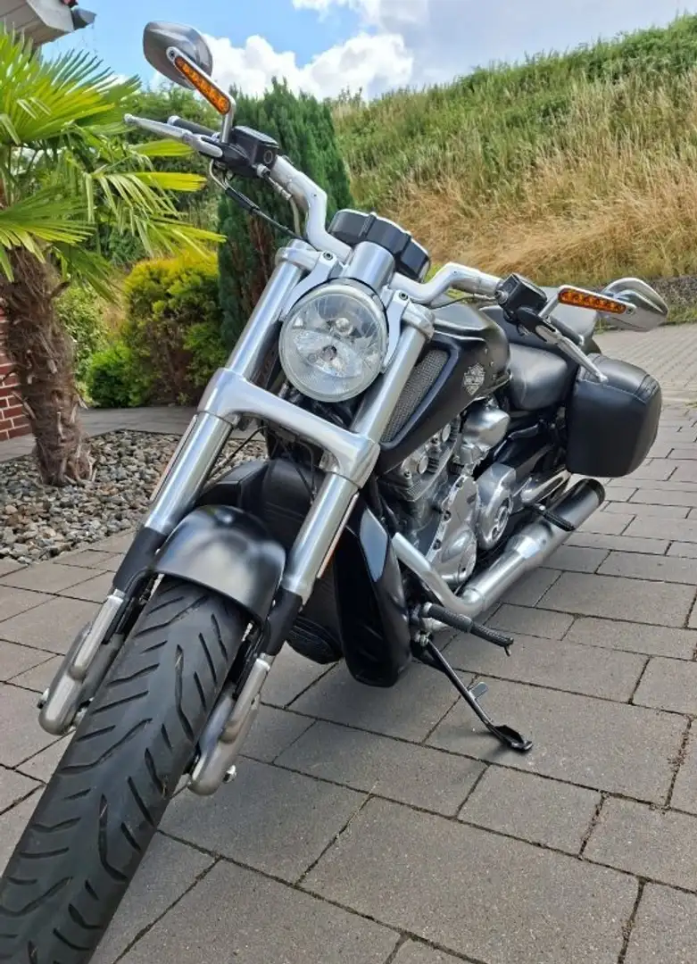Harley-Davidson VRSC V-Rod V-Rod Muscle VRSCF in Black Denim (mattschwarz) Noir - 1