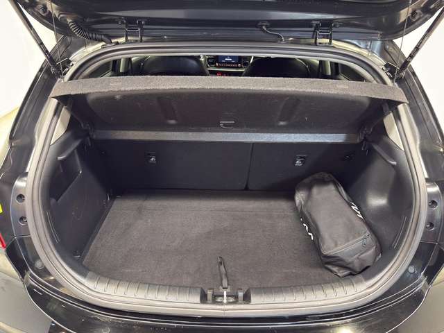 Kia Rio — photo 16