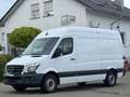 Mercedes-Benz Sprinter Kasten 316 CDI|AHK|TEMPOMAT|PDC Weiß - thumbnail 1