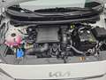 Kia Picanto PICANTO 1.2 VISION MJ25 SITZH. NAVI KAMERA Weiß - thumbnail 16