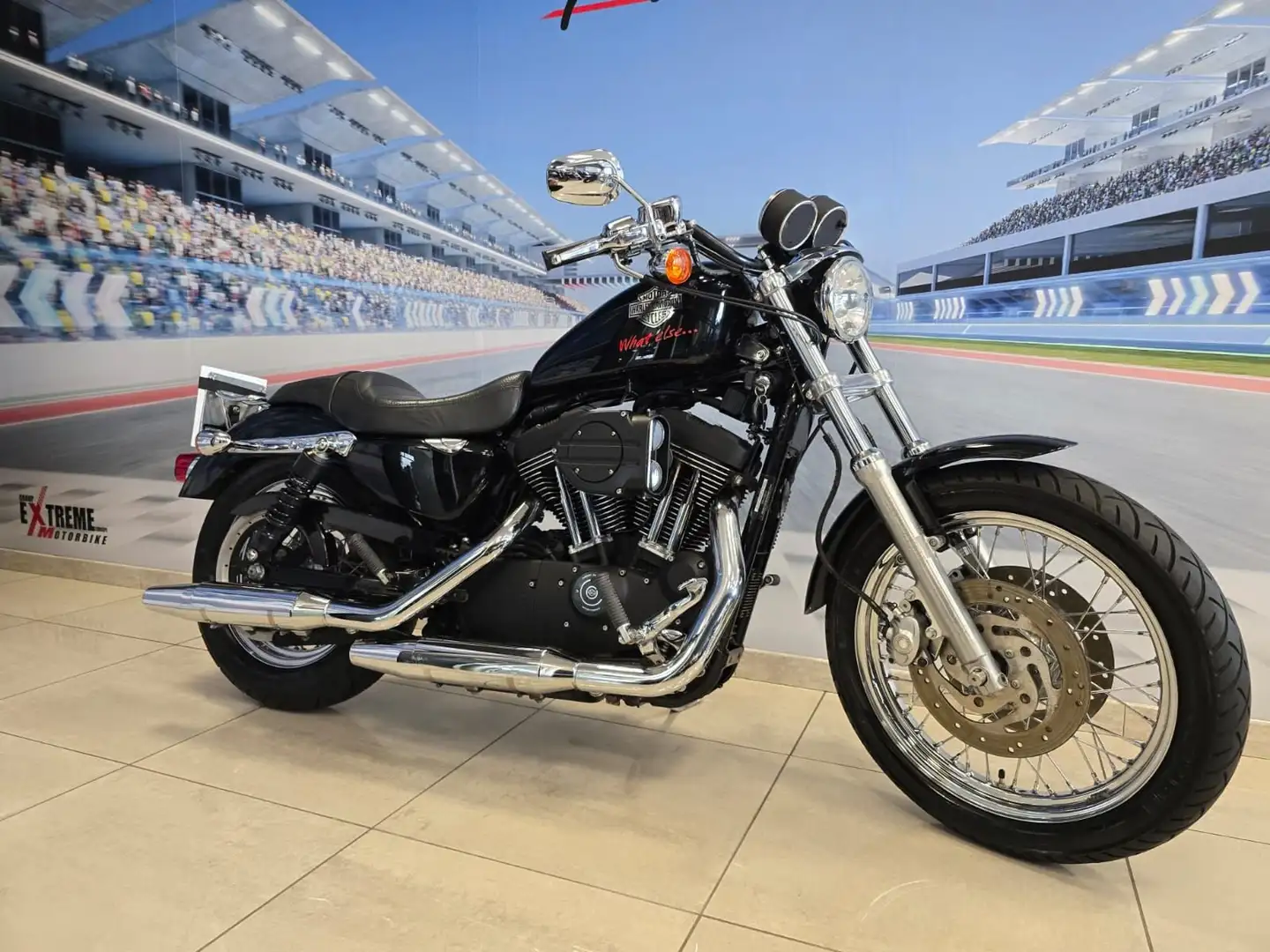 Harley-Davidson Sportster XL 1200 "R" Km 31000 - 2