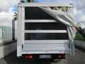 Nissan Cabstar 35-12 E5 CENTINA E TELONE 3.30 METRI 156000 KM Blanc - thumbnail 8