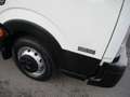 Nissan Cabstar 35-12 E5 CENTINA E TELONE 3.30 METRI 156000 KM Blanc - thumbnail 4