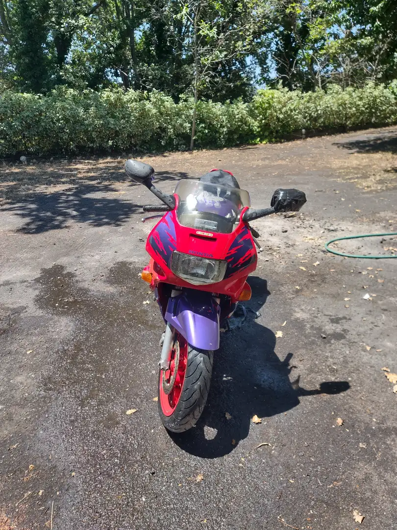 Honda CBR 600 Rosso - 2