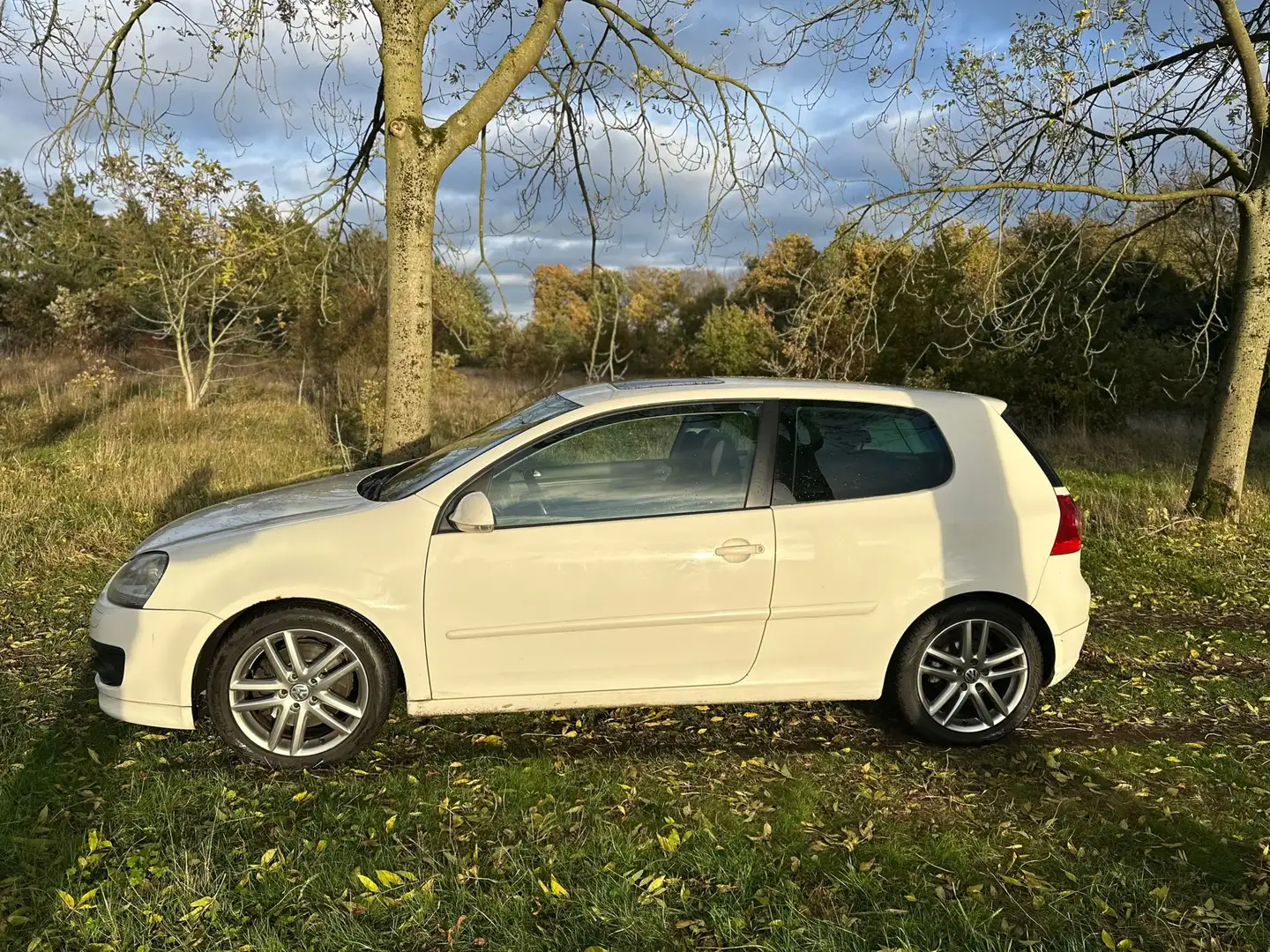 Volkswagen Golf 1.4 TSI GT Sport APK 14-10-2026 Blanco - 2