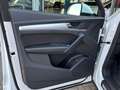Audi Q5 S line 40 TDI quattro S tronic MMI Matrix AHK Blanco - thumbnail 12